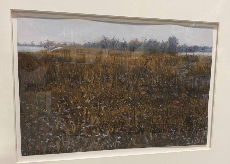 Rust and Black Field