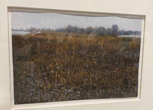 Rust and Black Field