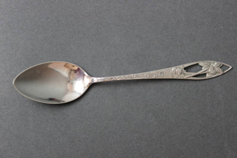 Palm Trees - Palm Beach Fla