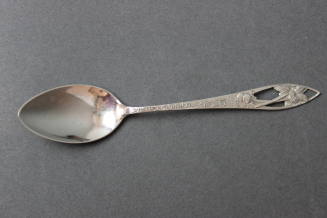 Palm Trees - Palm Beach Fla