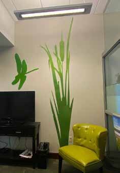 Model for Floating World - Dragonfly