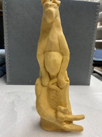 Model for Small Animal Clinic