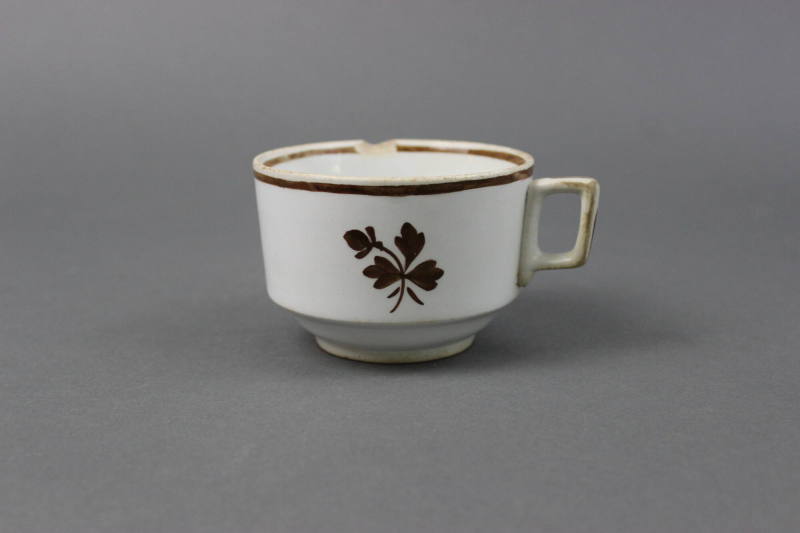Cup
