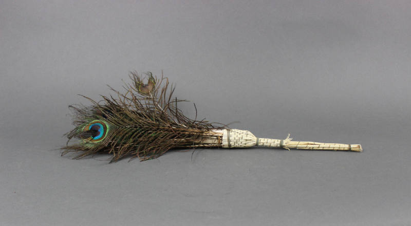 Feather Duster