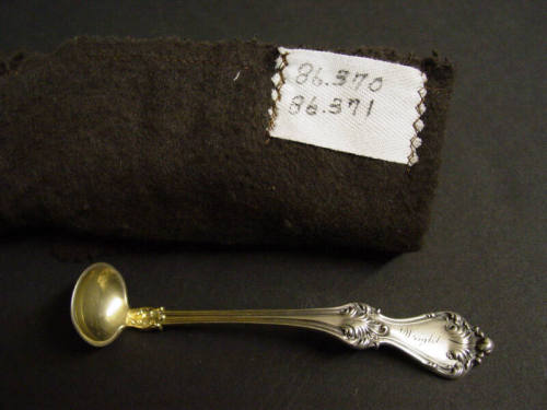 Salt Spoon