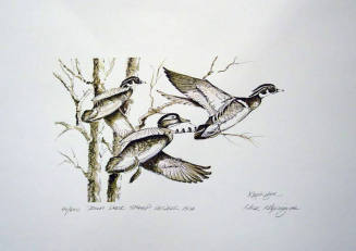 1978 Iowa Duck Stamp
