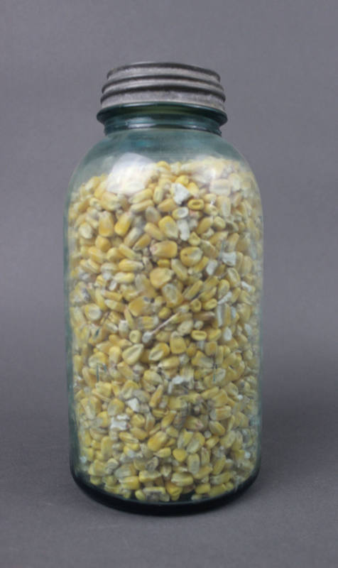Canning Jar