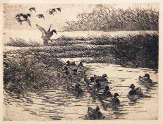 Untitled (seven mallards landing, thirteen mallards in the water)