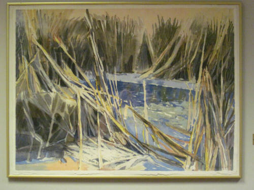 Winter Rushes