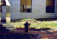 University Museums, Iowa State University prohibits the copying or reproduction in any medium o ...