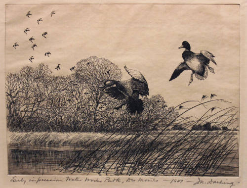 Water Works Park, Des Moines