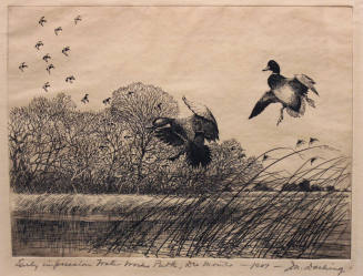 Water Works Park, Des Moines