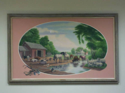 Old MacDonald's Farm