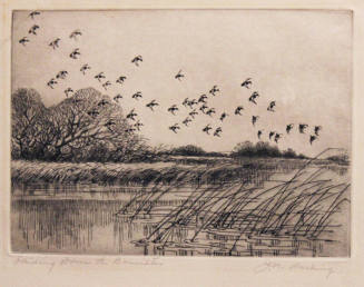 Sliding Down the Bannister