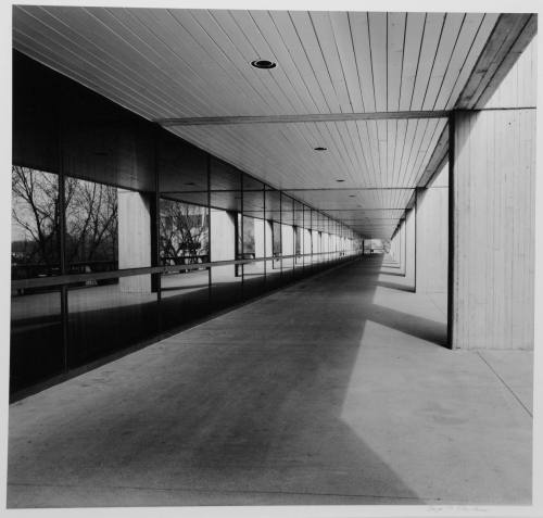 Continuing Education