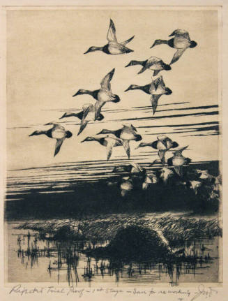 Canvasbacks Over Rat Houses