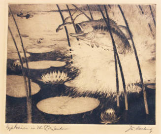 Explosion of the Lily Pads