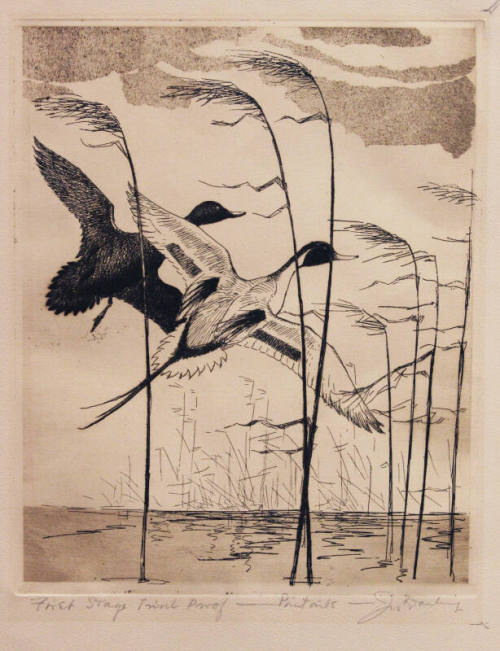 First Stage Trial Proof