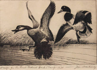 Design for First Federal Duck Stamp