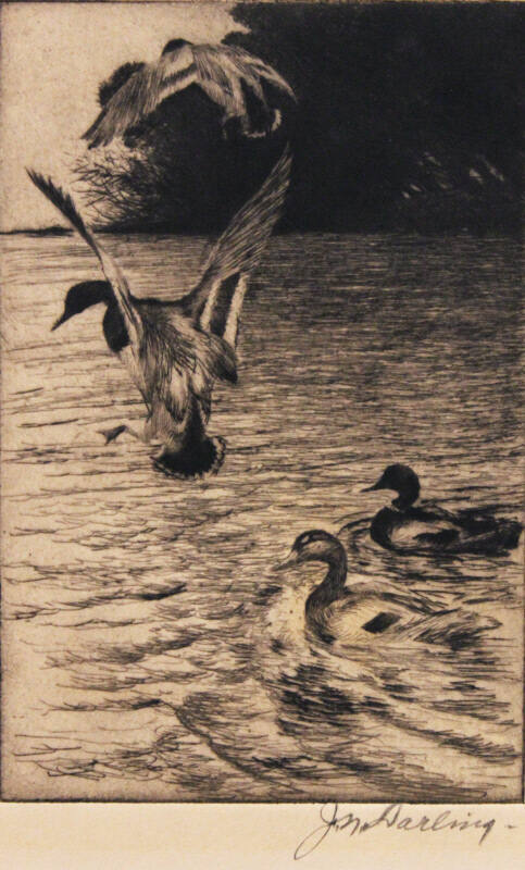 Untitled (four mallards)