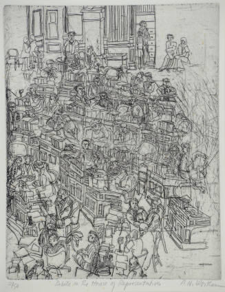 Debate in the House of Representatives