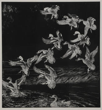 Dropping in for Lunch