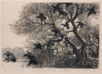 Through the Trees, Clear Lake, South Dakota