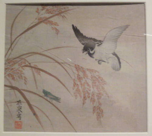 Sparrow, Grasshopper, and Rice Ears