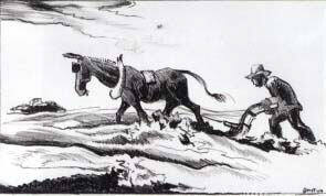 University Museums, Iowa State University prohibits the copying or reproduction in any medium o ...