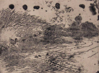 Untitled (duck looking at a submerged alligator)