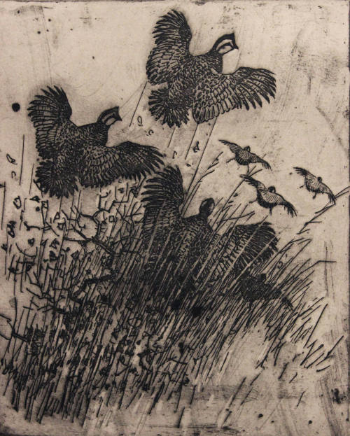 Untitled (Bob Whites)