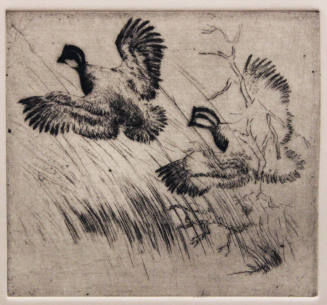 Untitled (two bobwhites)