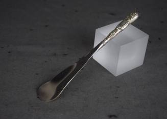 Shoehorn , Shoe Spoon