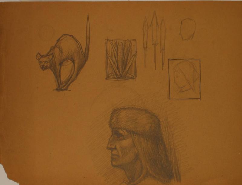 Studies: Corn, Cat, Racoon skin capped figure