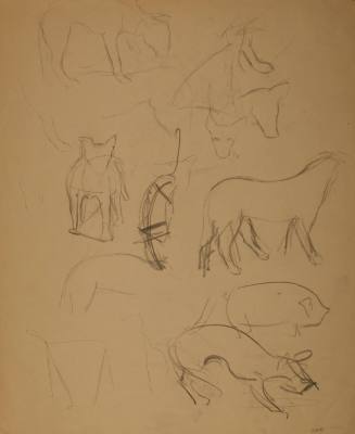 Animals: Dogs and pig