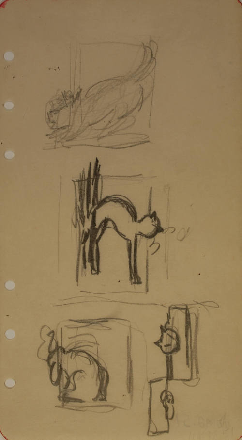 Sketches for Cat