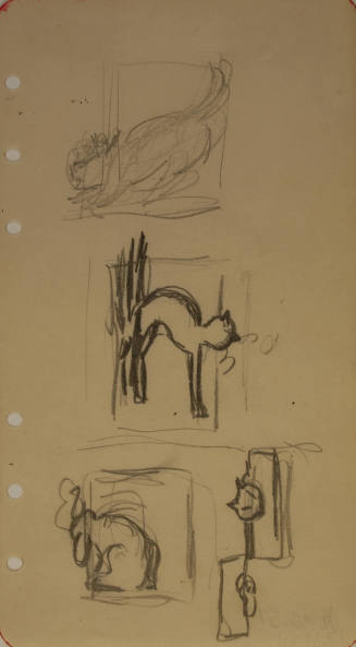 Sketches for Cat