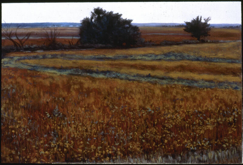 Bean Fields Near Thurman