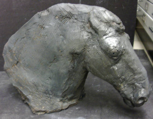 Horse Head from The Shoulders of Giants