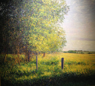 Woods, Meadow, and Fence