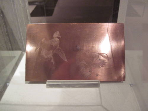 Untitled (mallards landing)