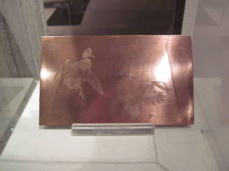 Untitled (mallards landing)