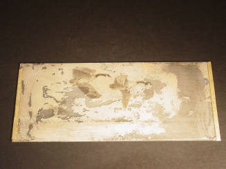 Honkers also Canadian Honkers