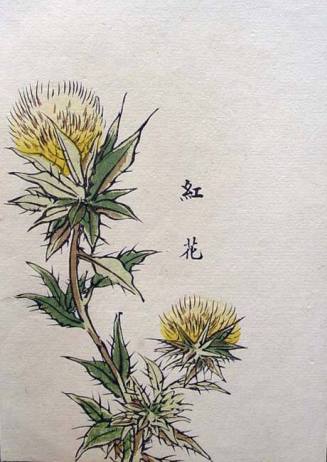 One Hundred Varieties of Flowers (Kusa bana hyakushu): Safflower; Carthamus tinctorius