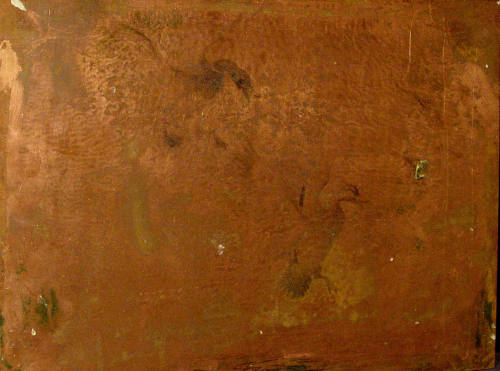 Mr. and Mrs. Mallard