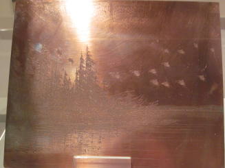 Putting on the Brakes for a landing--Minnesota Blue Bills