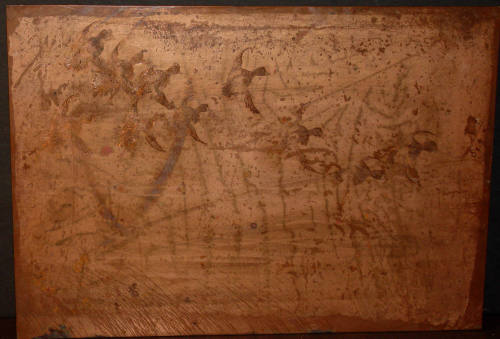 Blue Bills--Minnesota