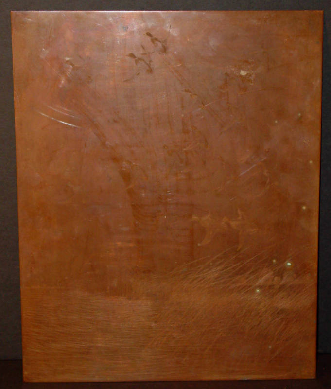 The flock they didn't see