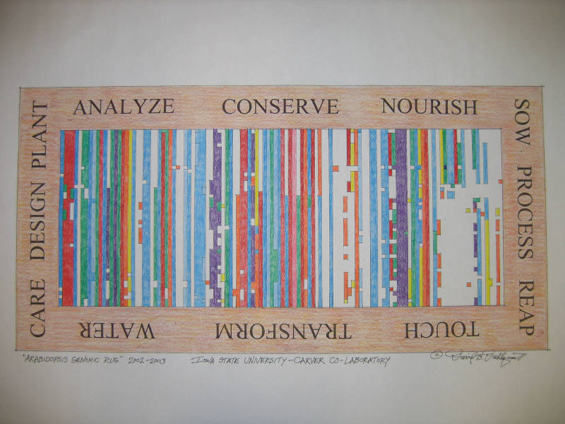 Arabidopsis Genomic Rug